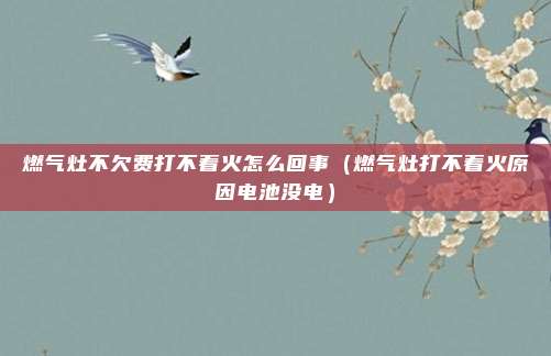 燃气灶不欠费打不着火怎么回事（燃气灶打不着火原因电池没电）