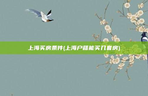 上海买房条件(上海户籍能买几套房)