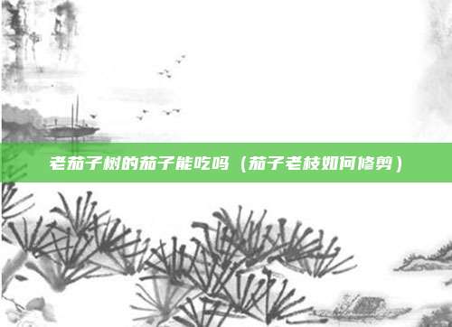 老茄子树的茄子能吃吗（茄子老枝如何修剪）