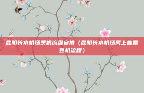 昆明长水机场乘机流程安排（昆明长水机场网上售票登机流程）