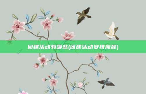 团建活动有哪些(团建活动安排流程)