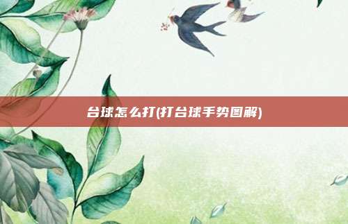 台球怎么打(打台球手势图解)