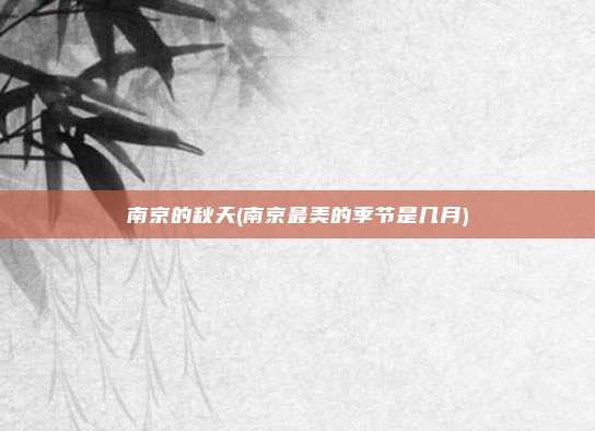 南京的秋天(南京最美的季节是几月)