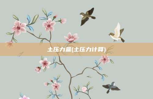 土压力盒(土压力计算)