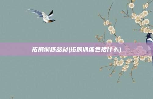 拓展训练器材(拓展训练包括什么)