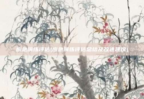 应急演练评估(应急演练评估总结及改进建议)