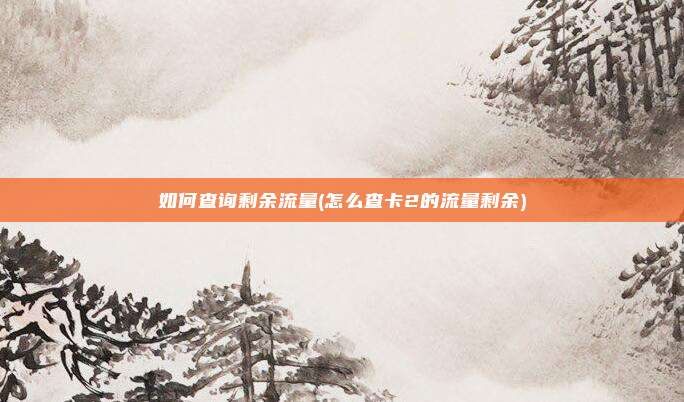 如何查询剩余流量(怎么查卡2的流量剩余)