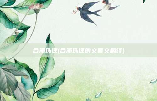 合浦珠还(合浦珠还的文言文翻译)