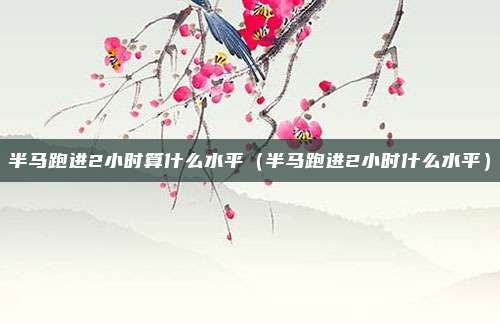 半马跑进2小时算什么水平(半马跑进2小时什么水平)