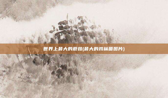 世界上最大的蘑菇(最大的鸡枞菌图片)