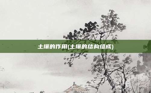 土壤的作用(土壤的结构组成)