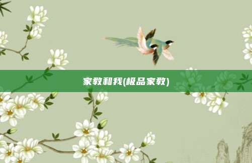 家教和我(极品家教)