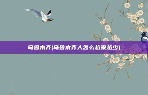 乌鲁木齐(乌鲁木齐人怎么越来越少)
