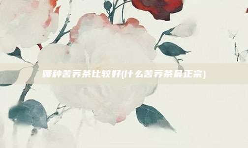 哪种苦荞茶比较好(什么苦荞茶最正宗)