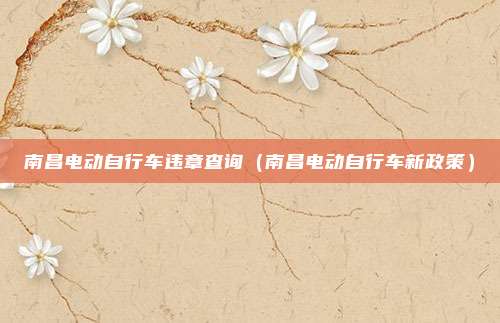 南昌电动自行车违章查询(南昌电动自行车新政策)