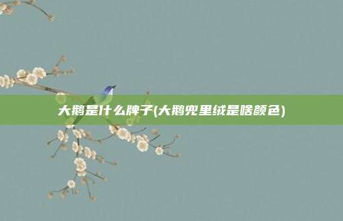 大鹅是什么牌子(大鹅兜里绒是啥颜色)