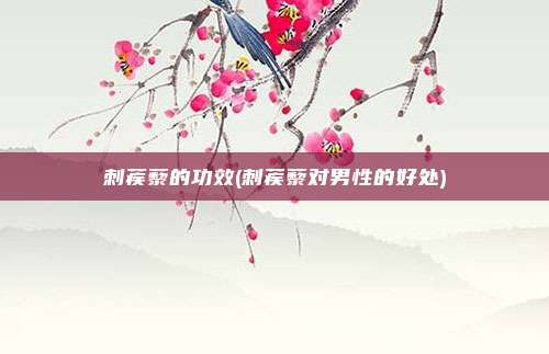刺蒺藜的功效(刺蒺藜对男性的好处)