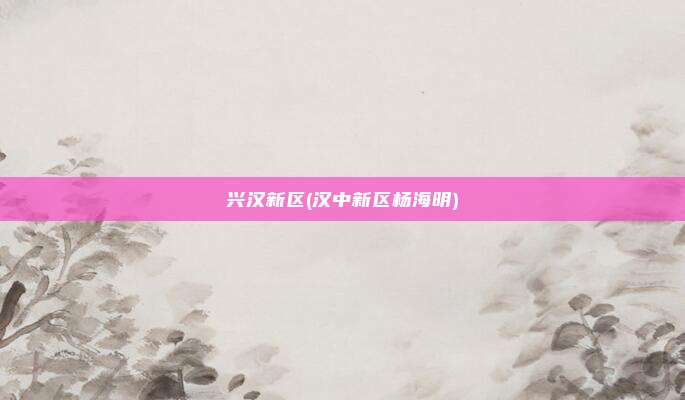 兴汉新区(汉中新区杨海明)