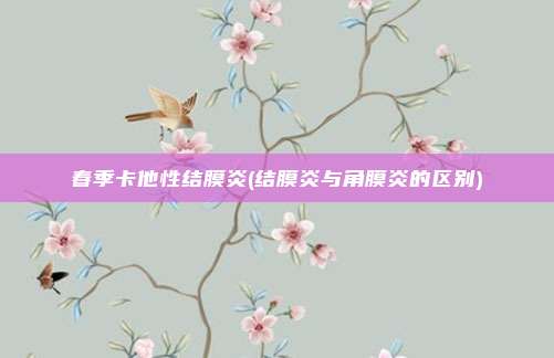 春季卡他性结膜炎(结膜炎与角膜炎的区别)