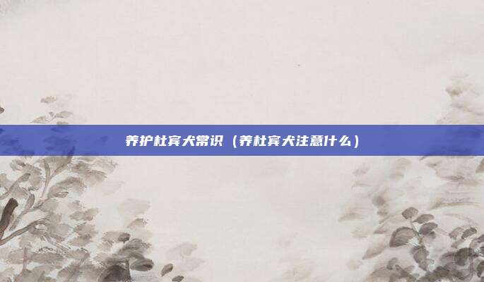 养护杜宾犬常识(养杜宾犬注意什么)
