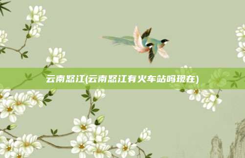 云南怒江(云南怒江有火车站吗现在)