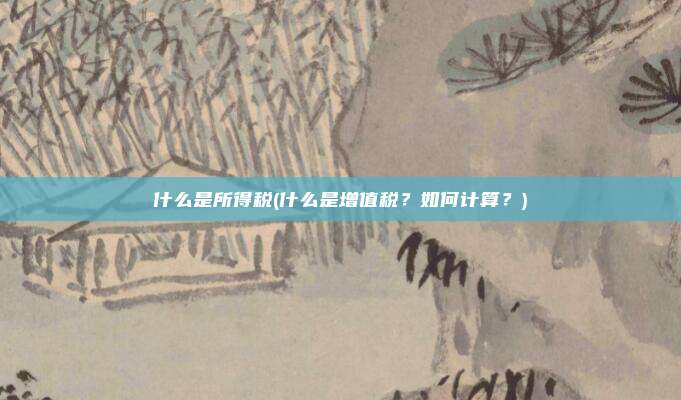 什么是所得税(什么是增值税?如何计算?)
