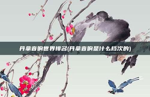 丹拿音响世界排名(丹拿音响是什么档次的)