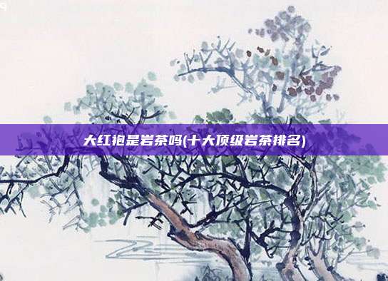 大红袍是岩茶吗(十大顶级岩茶排名)