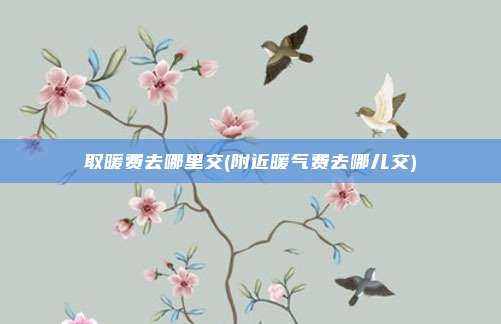 取暖费去哪里交(附近暖气费去哪儿交)