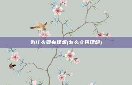 为什么要有理想(怎么实现理想)