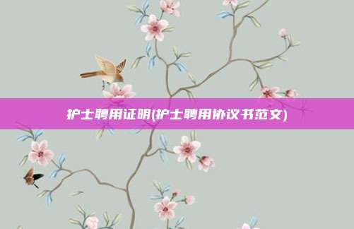 护士聘用证明(护士聘用协议书范文)