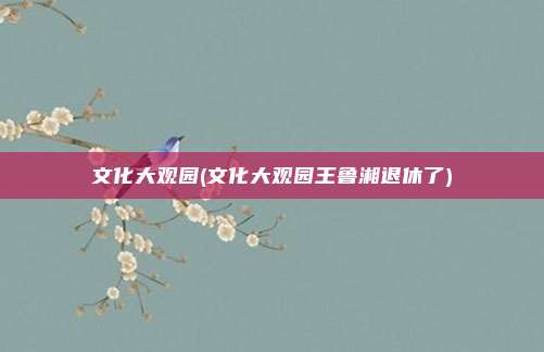 文化大观园(文化大观园王鲁湘退休了)