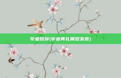 毕业致辞(毕业典礼简短发言)