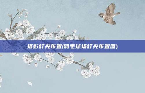 摄影灯光布置(羽毛球场灯光布置图)
