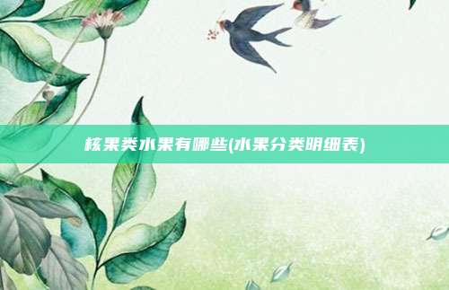 核果类水果有哪些(水果分类明细表)