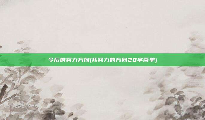 今后的努力方向(我努力的方向20字简单)
