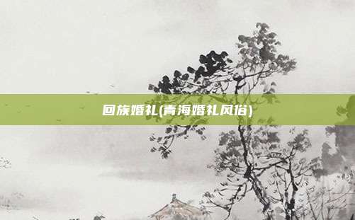 回族婚礼(青海婚礼风俗)