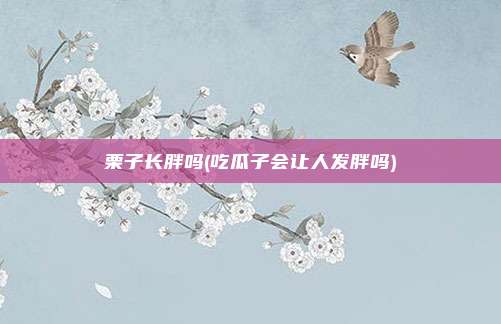栗子长胖吗(吃瓜子会让人发胖吗)