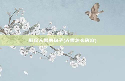 形容大雪的句子(大雪怎么形容)