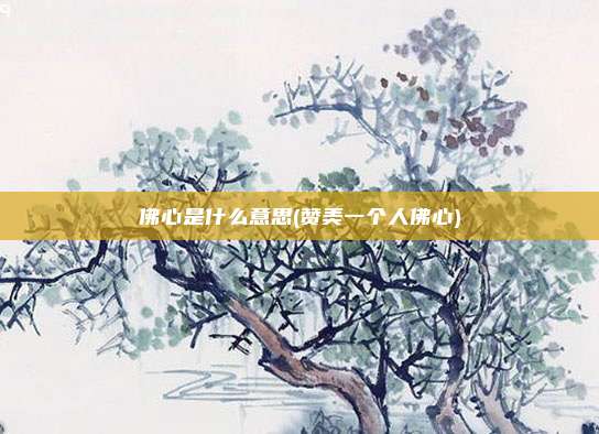 佛心是什么意思(赞美一个人佛心)
