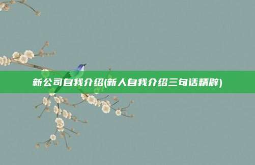 新公司自我介绍(新人自我介绍三句话精辟)