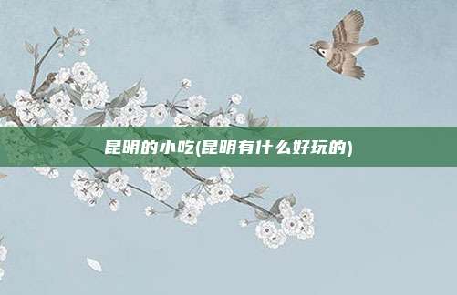 昆明的小吃(昆明有什么好玩的)