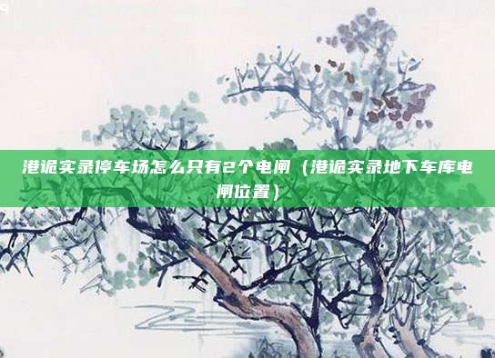 港诡实录停车场怎么只有2个电闸（港诡实录地下车库电闸位置）