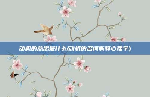 动机的意思是什么(动机的名词解释心理学)