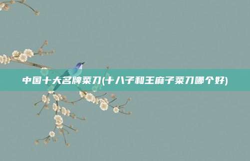 中国十大名牌菜刀(十八子和王麻子菜刀哪个好)