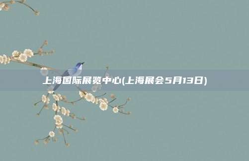 上海国际展览中心(上海展会5月13日)