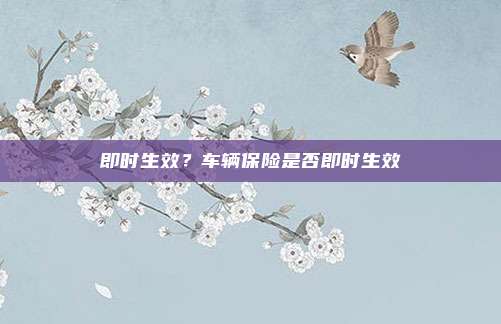 即时生效？车辆保险是否即时生效