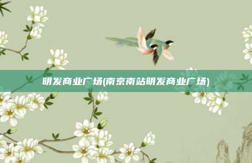 明发商业广场(南京南站明发商业广场)