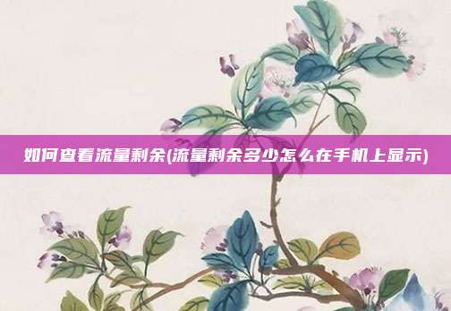 如何查看流量剩余(流量剩余多少怎么在手机上显示)