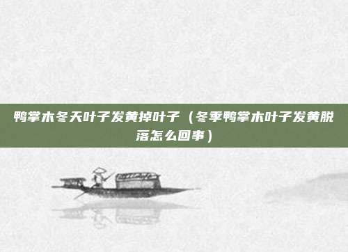 鸭掌木冬天叶子发黄掉叶子（冬季鸭掌木叶子发黄脱落怎么回事）
